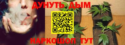 тгк Краснодар